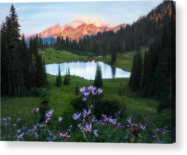 Mountains Acrylic Print featuring the photograph Wildflowers And Snow Mountain by Ken Liang