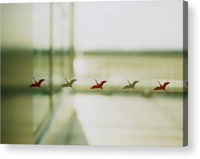 Five Objects Acrylic Print featuring the photograph Window by Kaochan madeleine