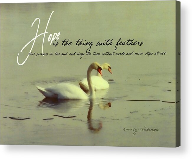 All Acrylic Print featuring the photograph WINTER SWANS quote by JAMART Photography