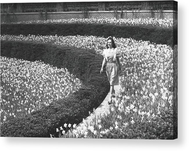 Flowerbed Acrylic Print featuring the photograph Woman Walking On Flowerbed, B&w by George Marks