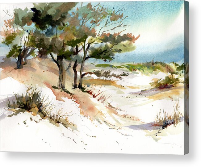 Cape Dunes Acrylic Print featuring the painting Cape Dunes #1 by P Anthony Visco