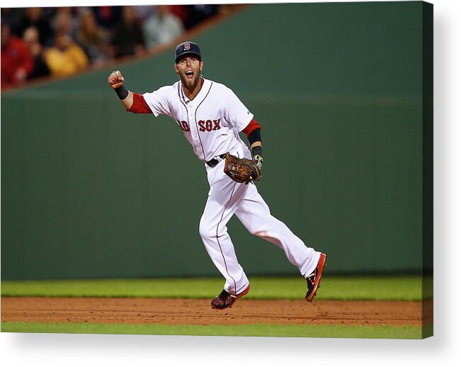 American League Baseball Acrylic Print featuring the photograph Dustin Pedroia by Jared Wickerham