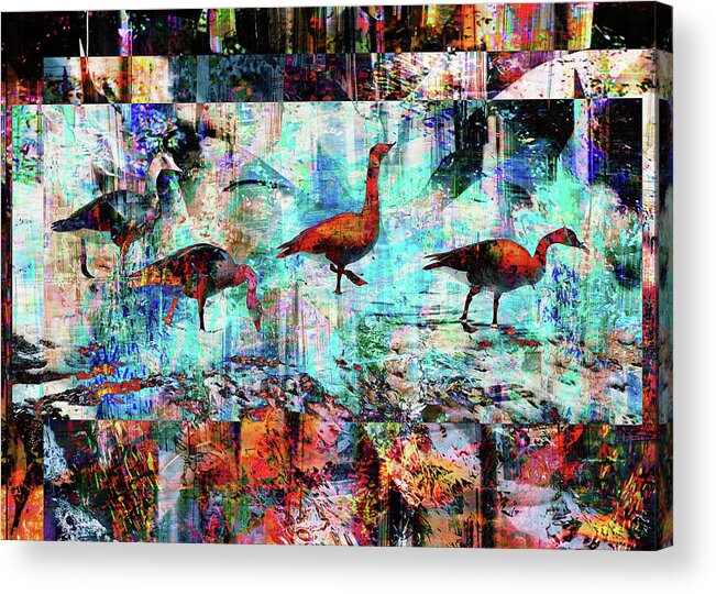 Abstract Acrylic Print featuring the photograph Feeding Time #1 by Dutch Bieber