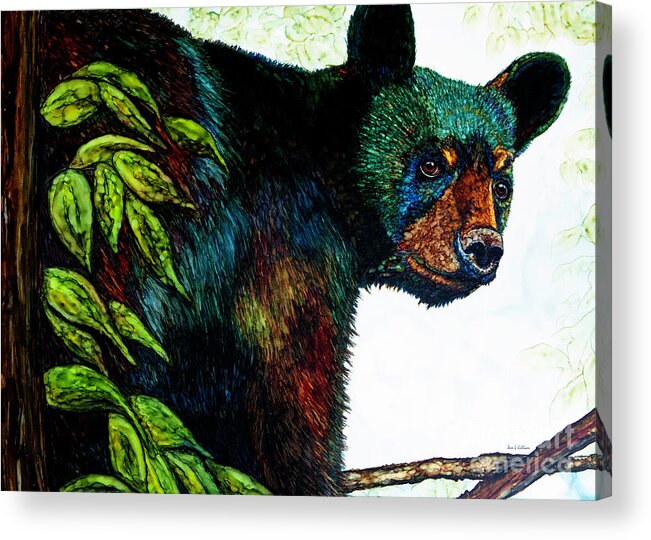 Bear Acrylic Print featuring the painting Just Sitting #1 by Jan Killian