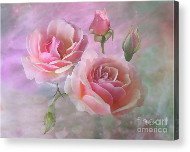 Pink Roses Acrylic Print featuring the mixed media Pink Rose Duet by Morag Bates