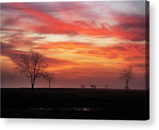 Sunrise Acrylic Print featuring the photograph Red Sky Sunrise #1 by Jerry Connally