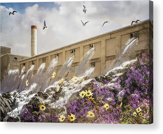 Water Acrylic Print featuring the photograph Rushing Waters by Shara Abel