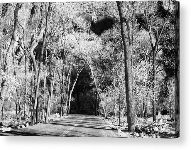 Cosina/voigtlander Nokton Classic 35mm F1.4 Sc Acrylic Print featuring the photograph Zion National Park, infrared HDR #1 by Eugene Nikiforov