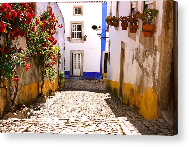  Acrylic Print featuring the photograph Portugal #12 by Claude Taylor