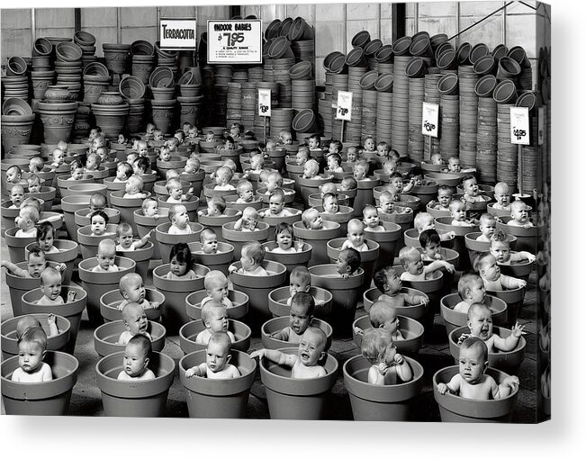 Black & White Acrylic Print featuring the photograph 123 Pots by Anne Geddes