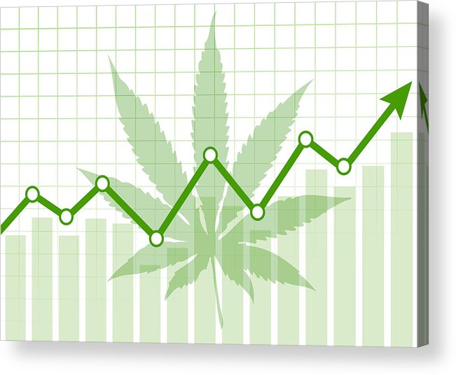 Financial Figures Acrylic Print featuring the drawing Marijuana - financial background #5 by Traffic_analyzer