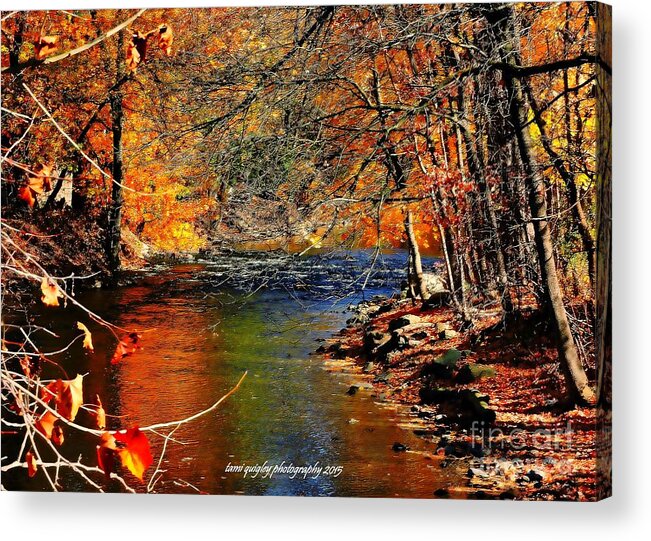 River Acrylic Print featuring the photograph A River Runs Through It by Tami Quigley