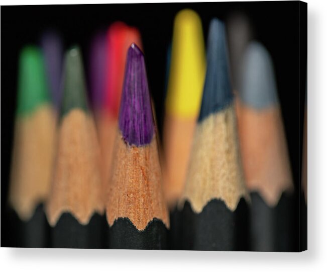 Pencil Acrylic Print featuring the photograph Artist Tools - Macro 4 by Amelia Pearn