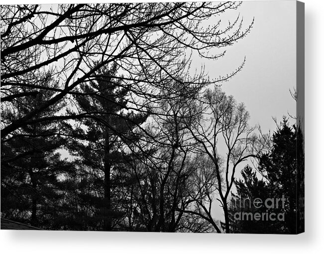 Landscape Acrylic Print featuring the photograph Authentic Expression - Black and White by Frank J Casella