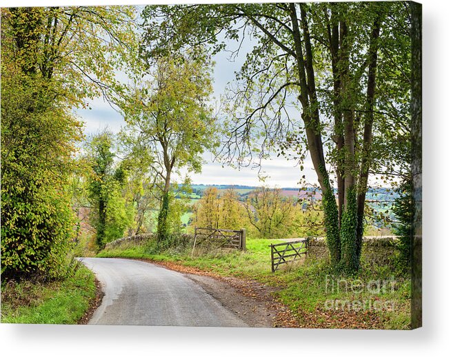 Country Lane Acrylic Print featuring the photograph Autumn Country Lane Cotswolds by Tim Gainey