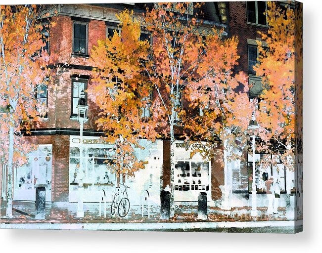 Marcia Lee Jones Acrylic Print featuring the photograph Autumn In Portsmouth, Nh by Marcia Lee Jones