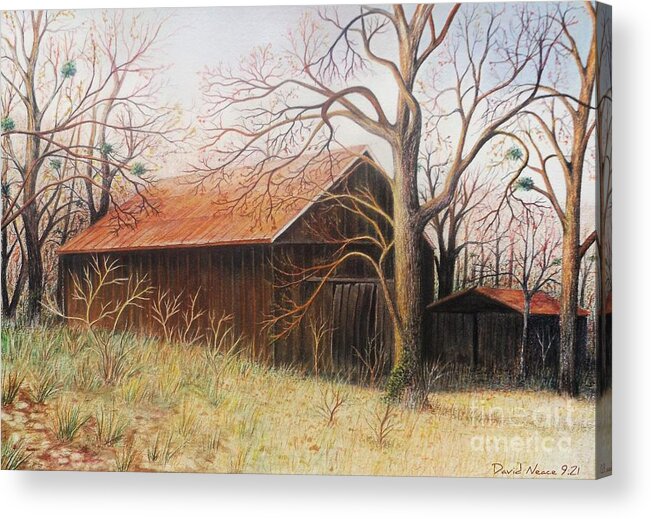 Tree Acrylic Print featuring the drawing Autumn Morning by David Neace