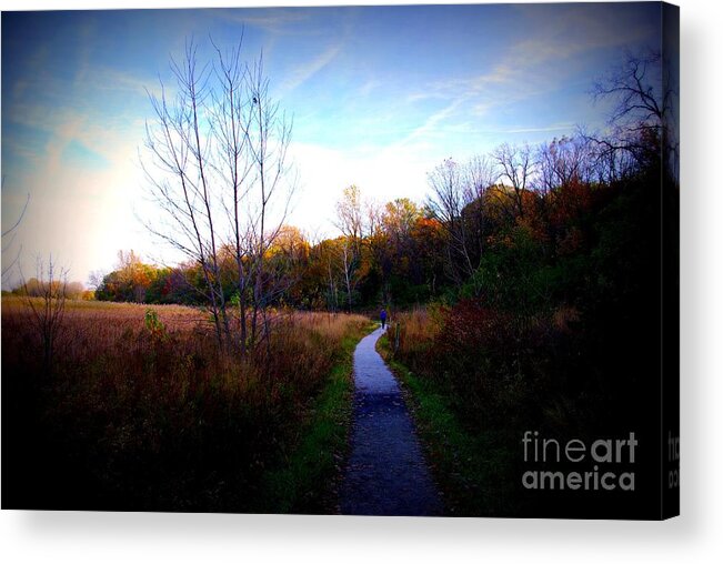 Nature Acrylic Print featuring the photograph Autumn Trail Under The Blue Sky - Frank J Casella by Frank J Casella