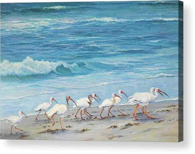 Ibis Acrylic Print featuring the painting Beach Patrol by Judy Rixom