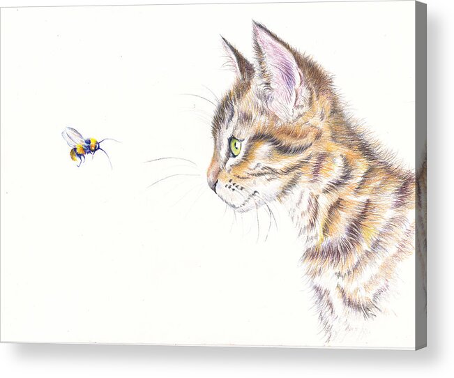 Kitten Acrylic Print featuring the painting Cat and Bee Sociably Distant by Debra Hall