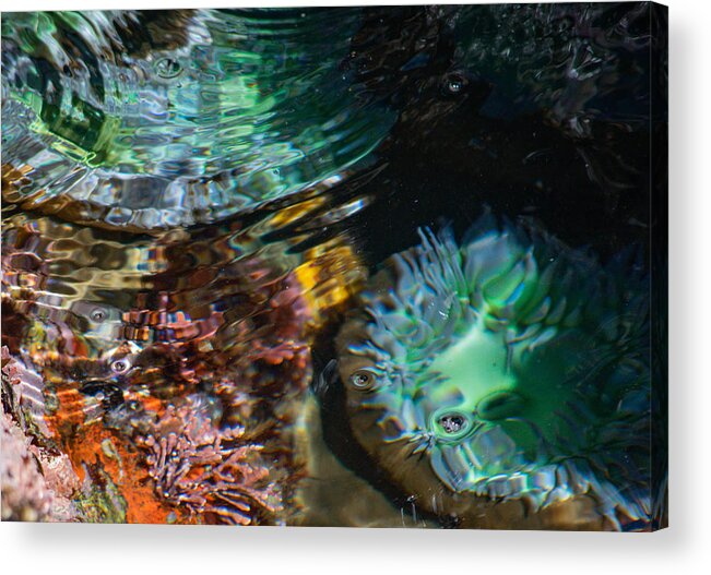 Underwater Acrylic Print featuring the photograph Below the surface by Bonny Puckett