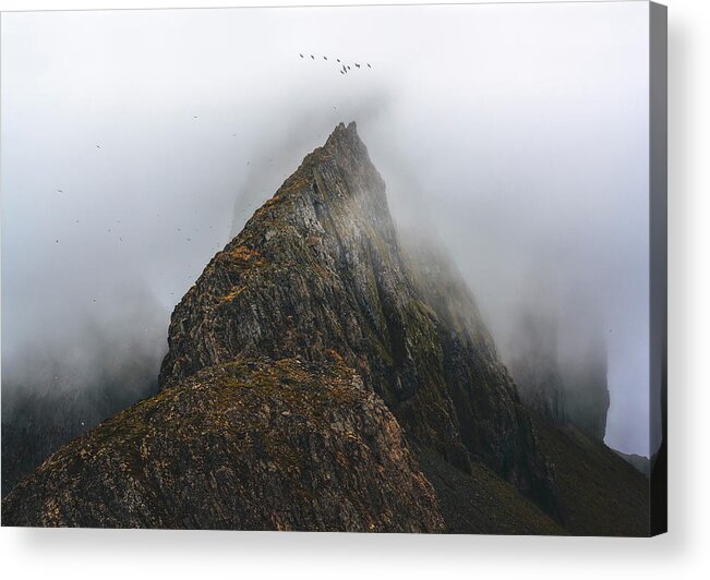 Beauty In Nature Acrylic Print featuring the photograph Birds of Krossanesfjall by Dee Potter