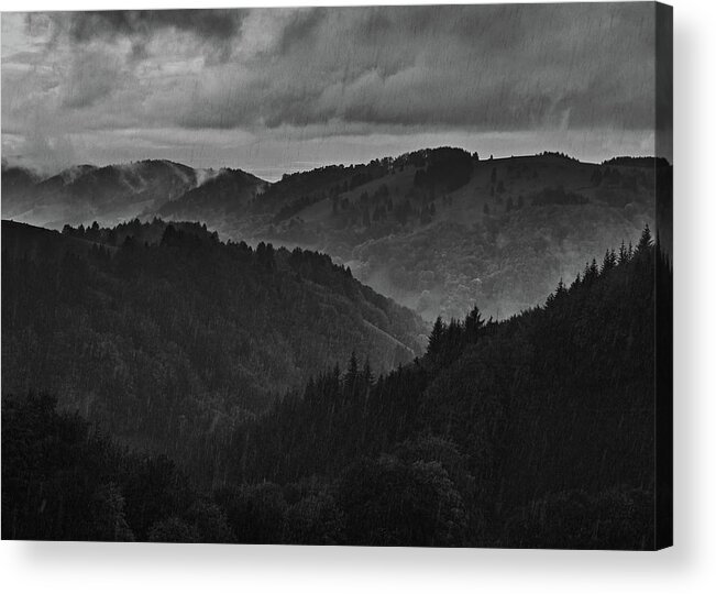 Black Forest Acrylic Print featuring the photograph Black Forest fog receives rain by Ioannis Konstas