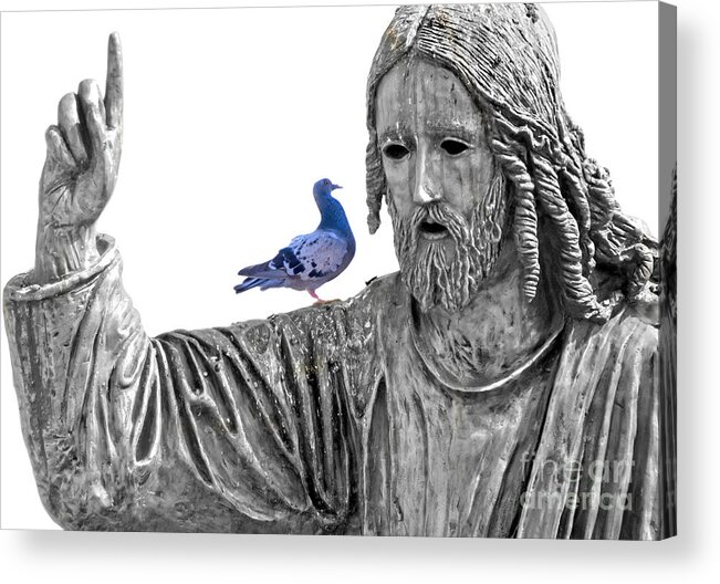 Jesus Christ Acrylic Print featuring the photograph Blue Dove by Munir Alawi