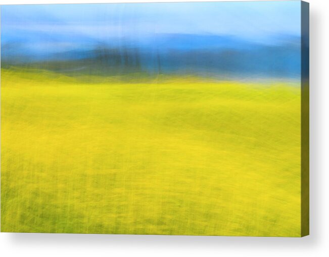Nature Acrylic Print featuring the photograph Blurred Movement by Shelby Erickson