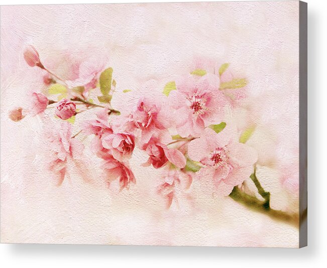 Blossom Acrylic Print featuring the photograph Blushing Blossom by Jessica Jenney