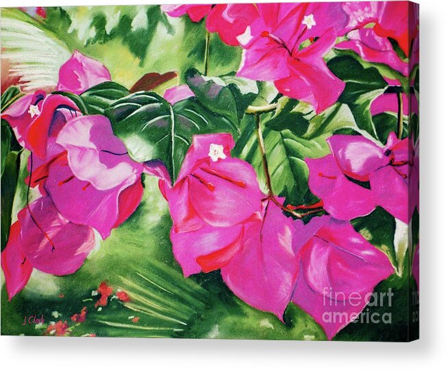 Art Acrylic Print featuring the painting Bougainvillea by John Clark