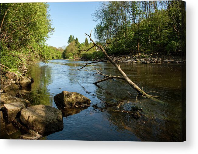 Branch Acrylic Print featuring the photograph Branch in the river by Average Images