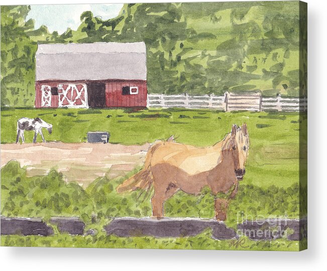 Barn Acrylic Print featuring the painting Happy horse at Broadneck Stable by Maryland Outdoor Life