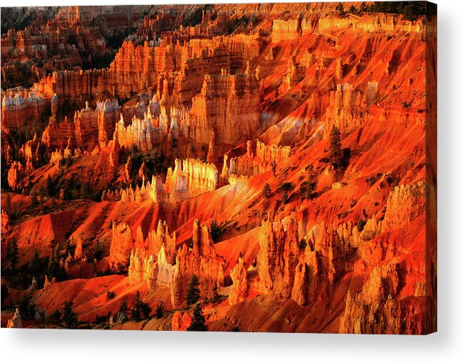Bryce Canyon Acrylic Print featuring the photograph Fire Dance - Bryce Canyon National Park. Utah by Earth And Spirit