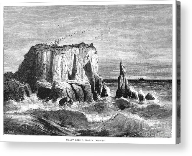 1872 Acrylic Print featuring the drawing California Coast by Robert Swain Gifford