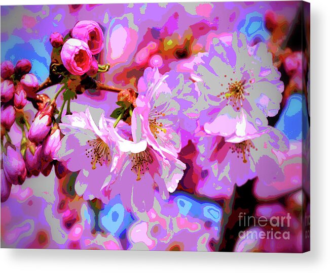Blossom Acrylic Print featuring the digital art CherryBlossom Magic by Mimulux Patricia No