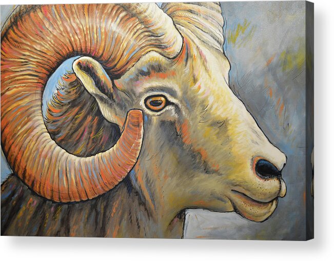 Sheep Acrylic Print featuring the painting Colorado Majesty by Amy Giacomelli