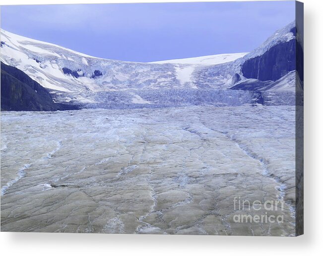 Columbian Icefield Acrylic Print featuring the photograph Columbia Icefield by Mary Mikawoz