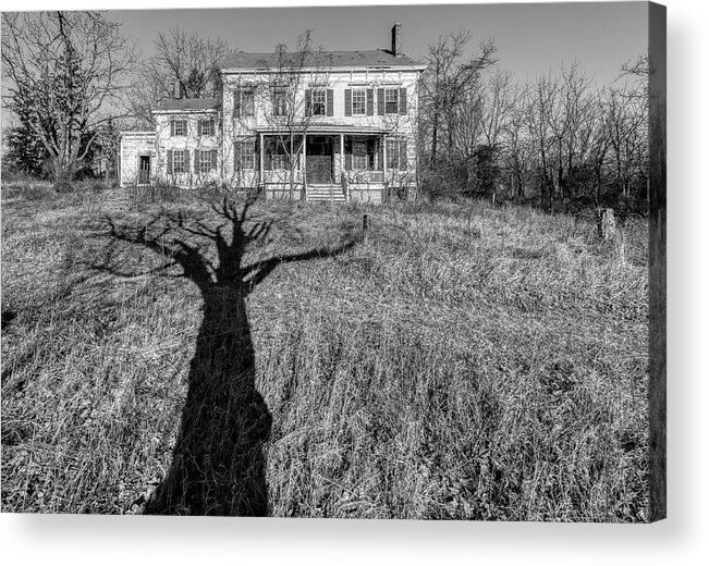 Voorhees Farm Acrylic Print featuring the photograph Death Tree by David Letts