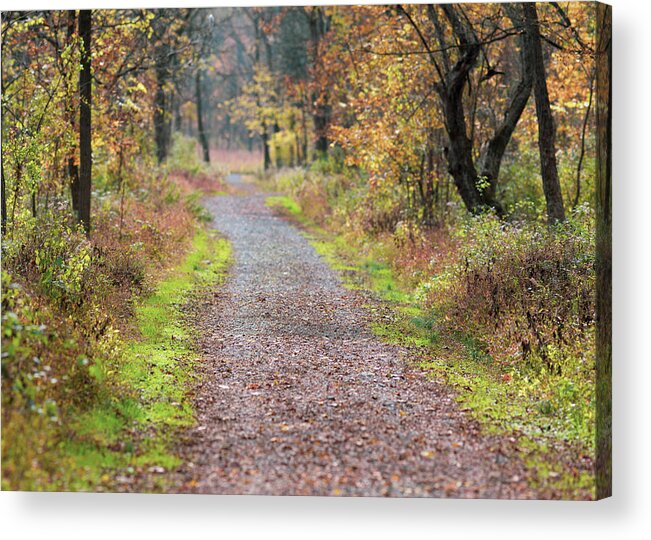 Trails Acrylic Print featuring the photograph Delaware Water Gap NPS - McDade Trail in Autumn by Amelia Pearn