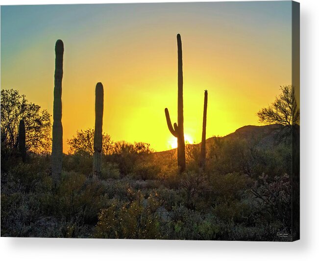 Desert Acrylic Print featuring the photograph Desert Sunset by Judi Dressler