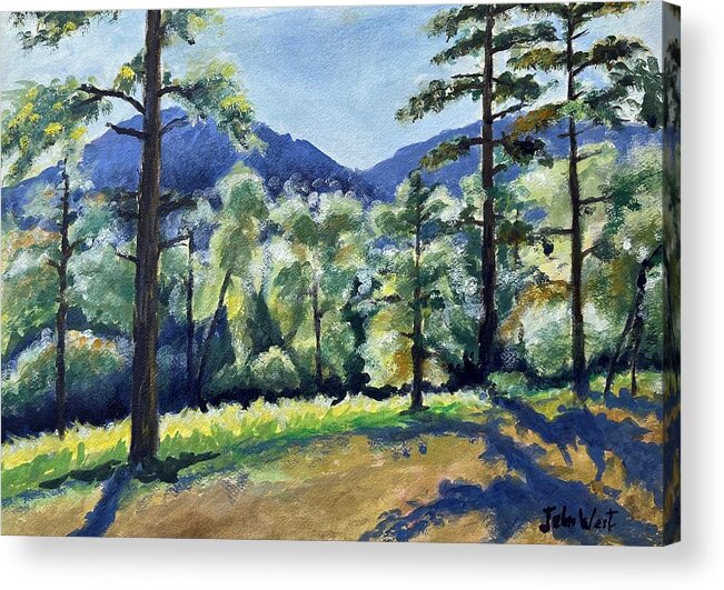 Durango Co Acrylic Print featuring the painting Durango Pines by John West