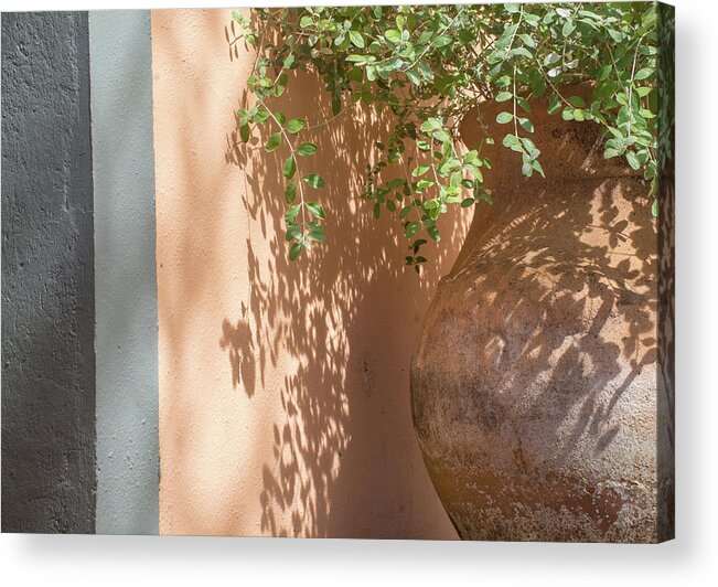 Beach Acrylic Print featuring the photograph Earth Tones Vase and Greenery by Bruce Gourley