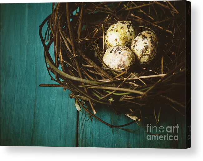 Easter Acrylic Print featuring the photograph Eggs in Nest by Jelena Jovanovic