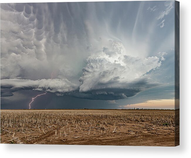 Storm Acrylic Print featuring the photograph Evening Harvest by Marcus Hustedde