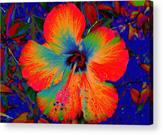 Hibiscus Acrylic Print featuring the digital art Festooned Hibiscus by Larry Beat