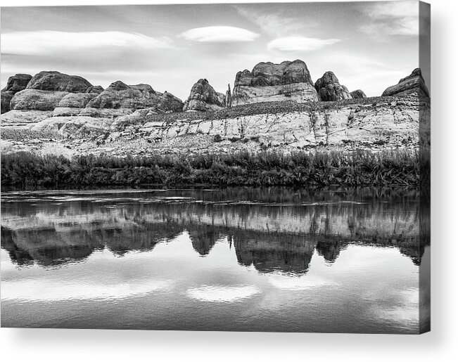 Black And White Acrylic Print featuring the photograph Fins Afloat by Deborah Hughes