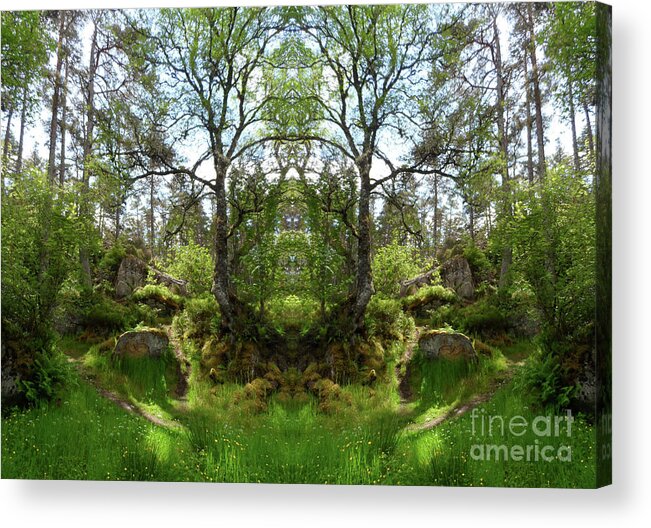 Scotland Acrylic Print featuring the photograph Fiodh Antlers by PJ Kirk