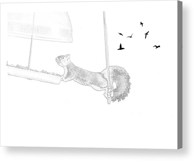 Squirrel Acrylic Print featuring the mixed media Fleeting Victory by Moira Law