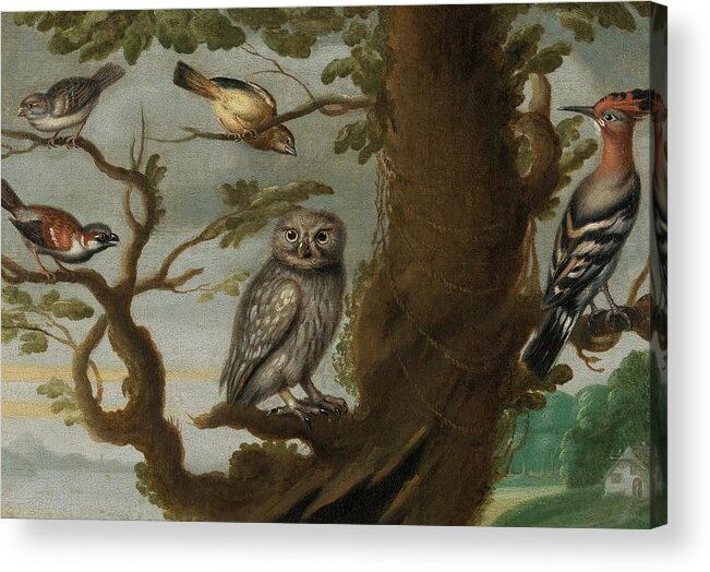 Travel Acrylic Print featuring the painting Flemish School Century An owl and a hoopoe and other birds in a tree by MotionAge Designs